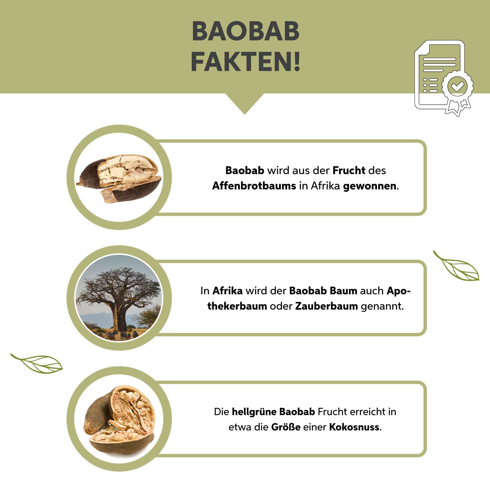 Bio-Baobab Pulver