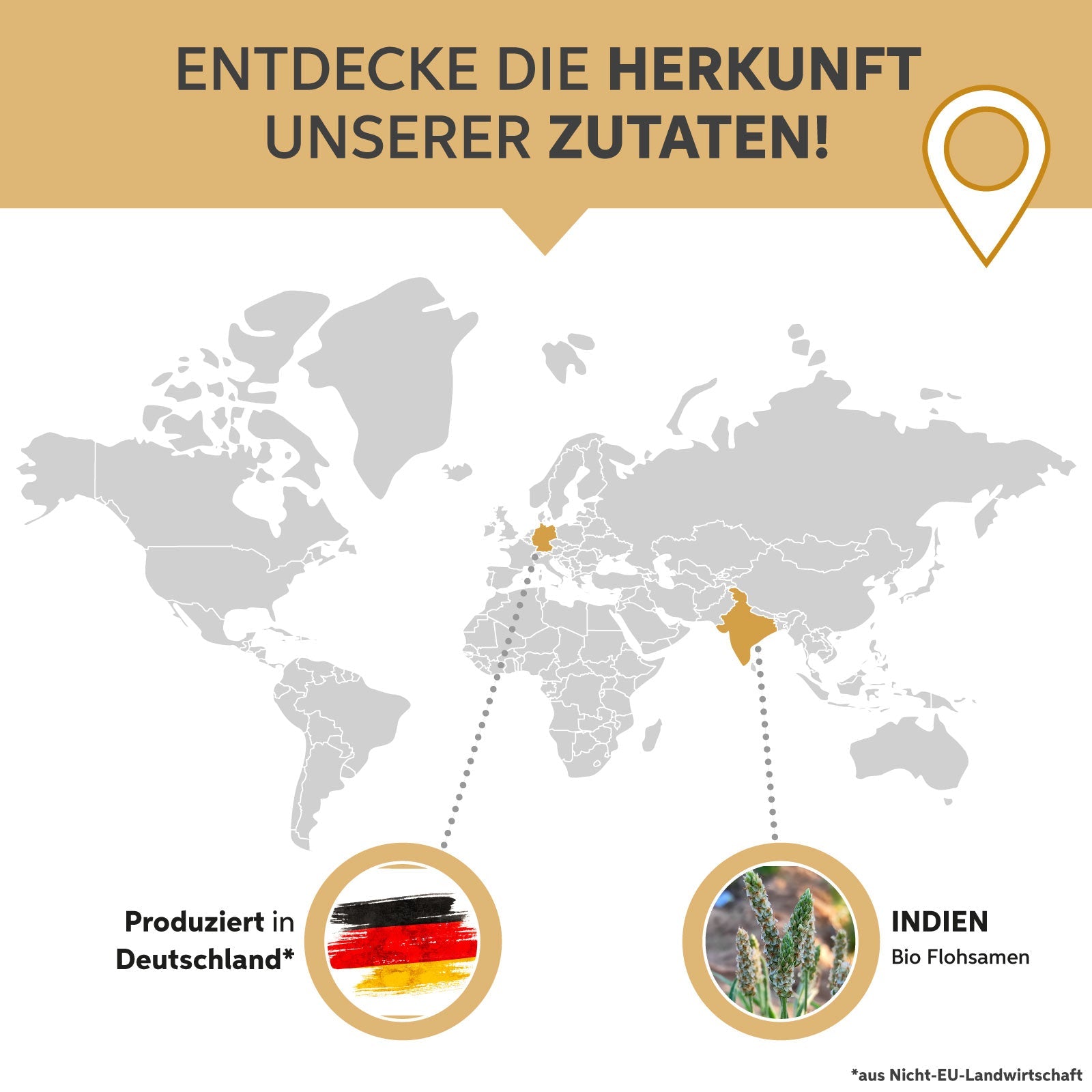 Bio Flohsamenschalen Kapseln – 99% Reinheit