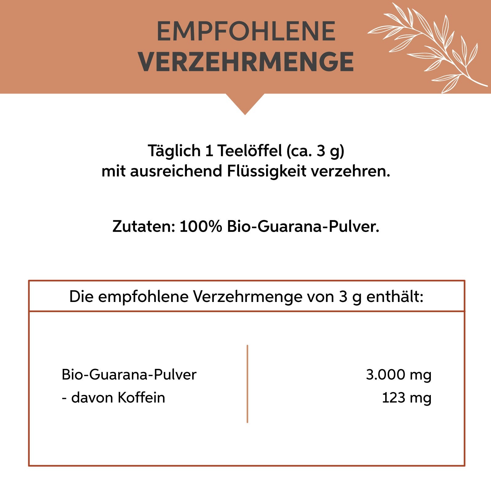 Bio Guarana Pulver