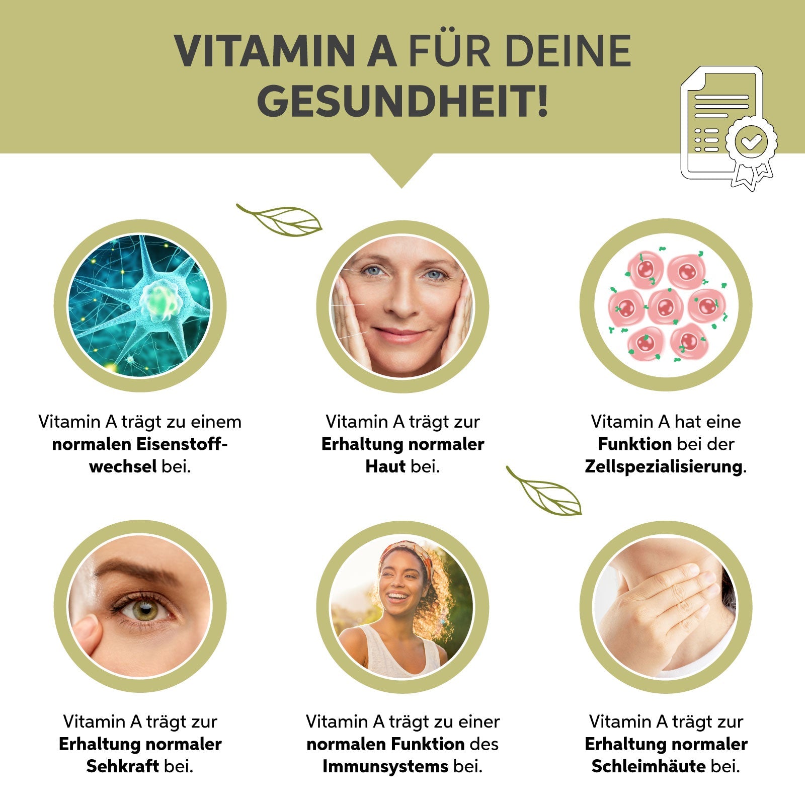 Bio Moringa Kapseln