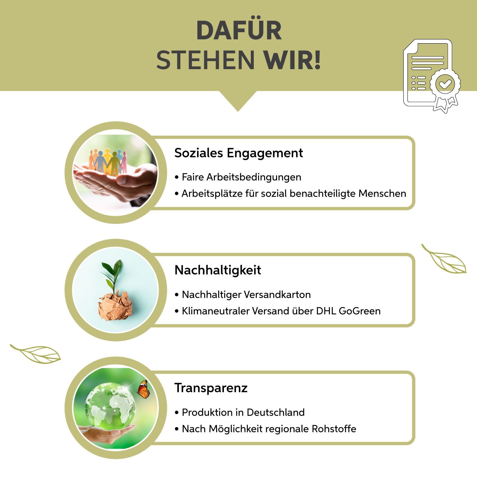 Bio Moringa Kapseln