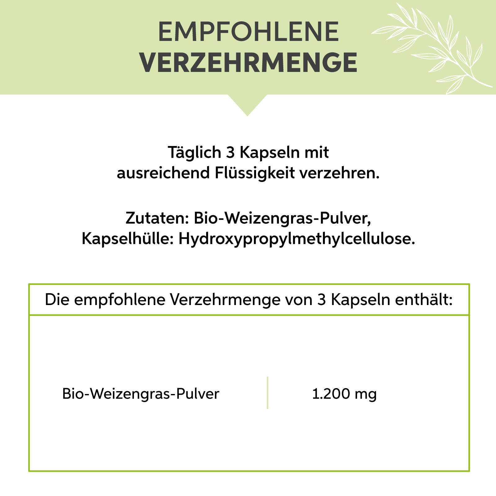 Bio-Weizengras Kapseln