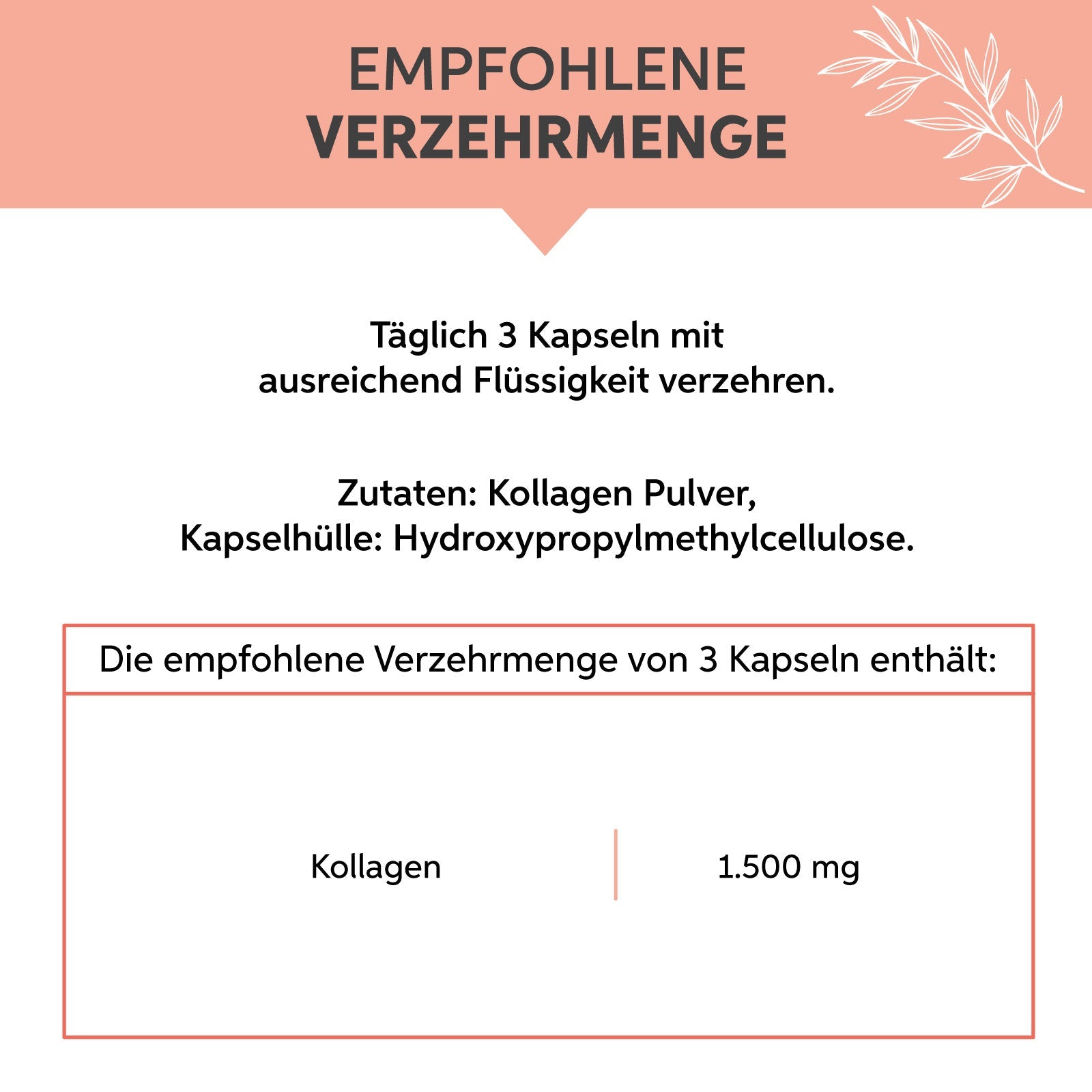 Kollagen Hydrolysat Kapseln