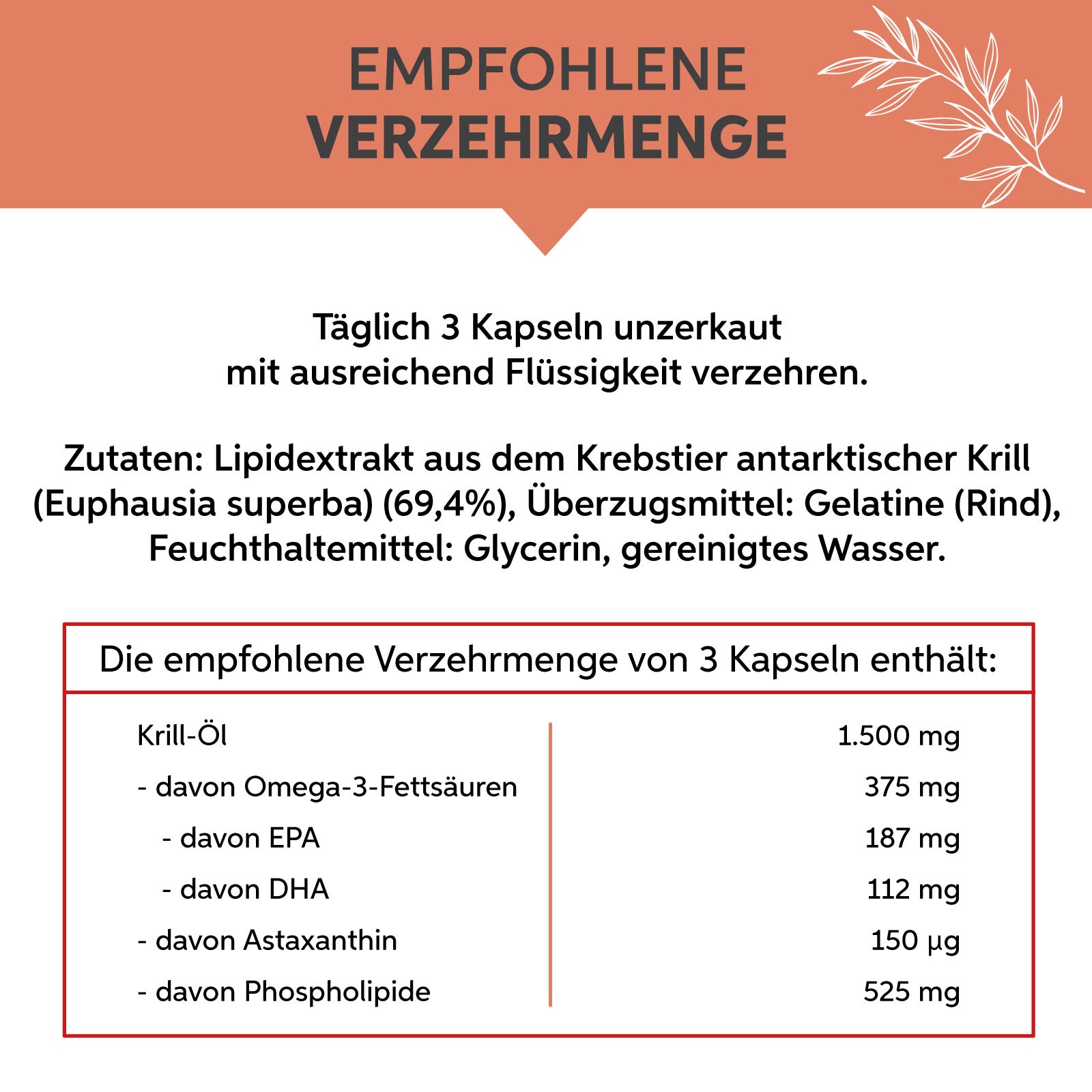 Krillöl Kapseln