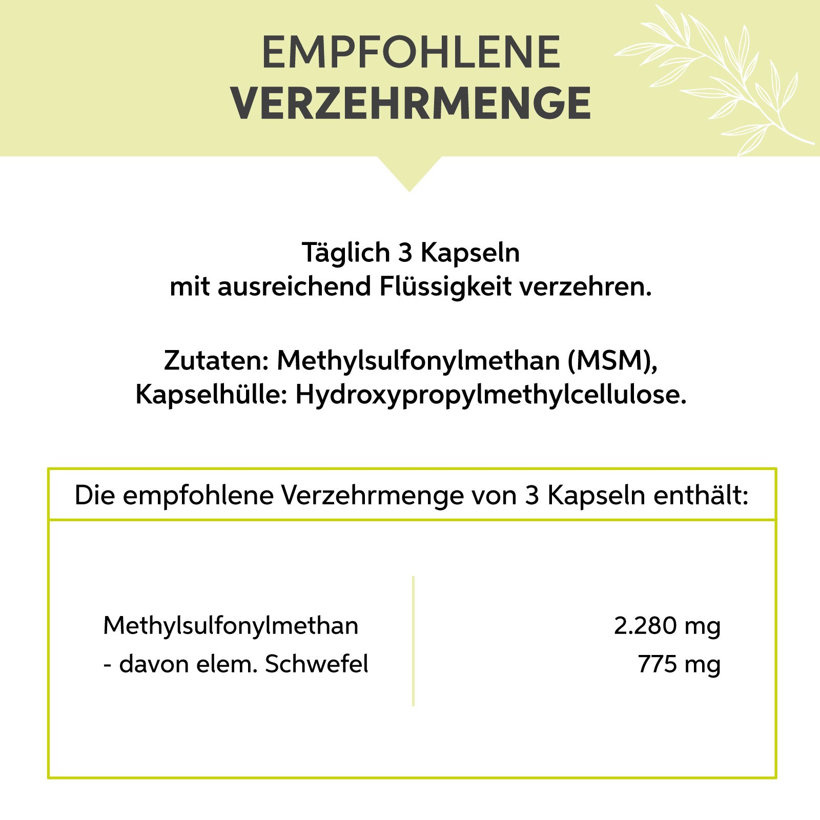 MSM + Kollagen | Gelenk-Komplettschutz