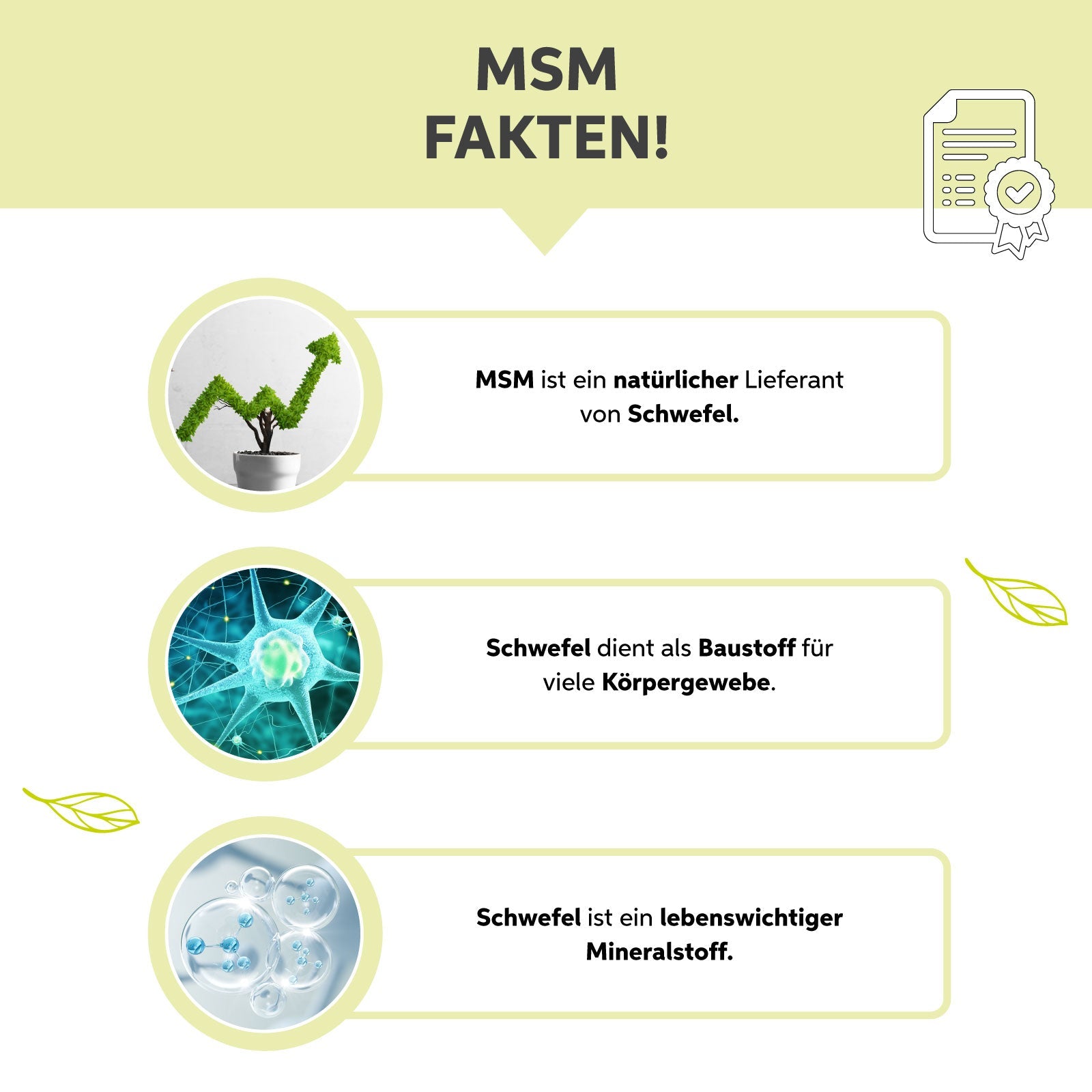 MSM-Pulver