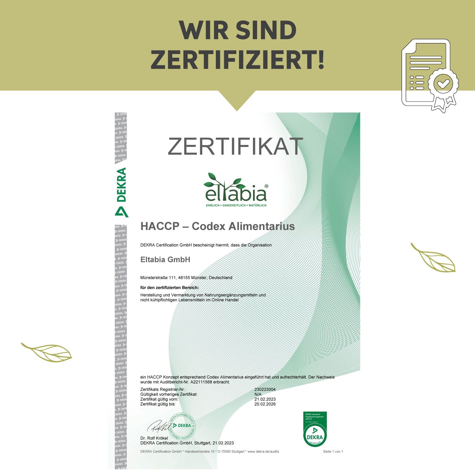 Moringa Presslinge
