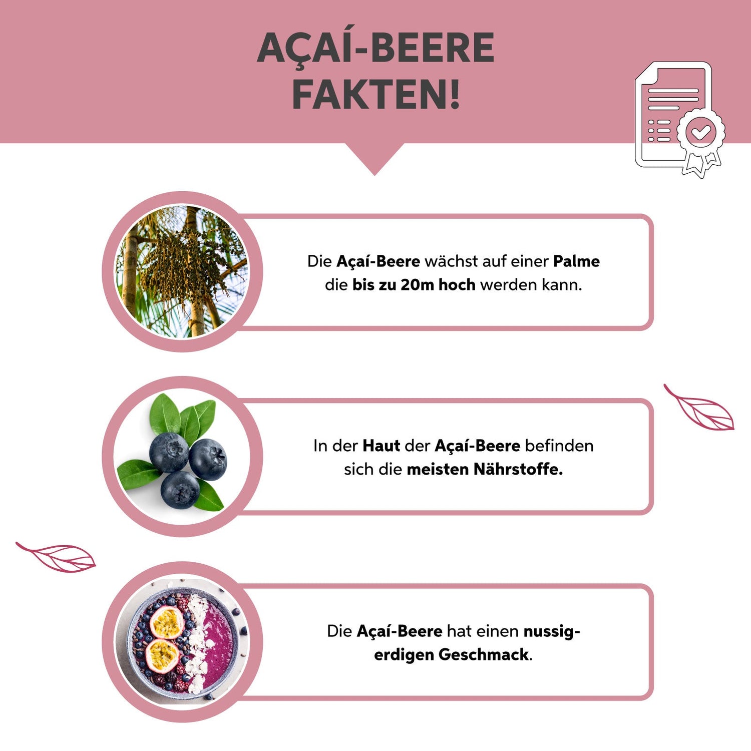 Açaí Pulver