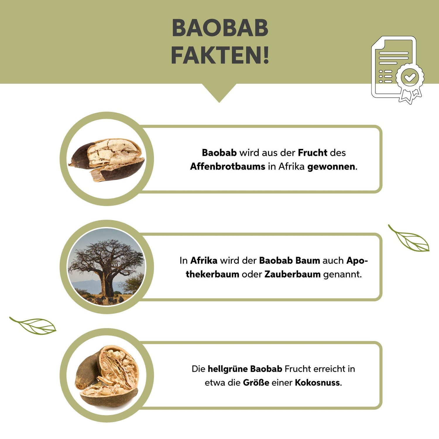 Bio-Baobab Pulver