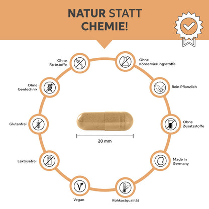 Bio Camu Camu Kapseln
