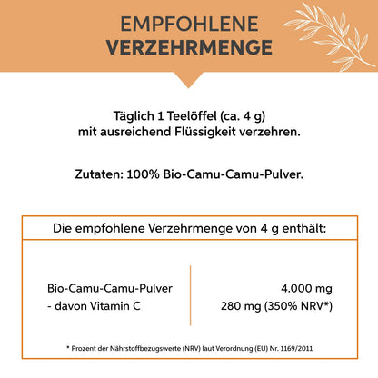 Bio-Camu Camu Pulver - Sonnengetrocknet