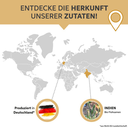 Bio Flohsamenschalen Kapseln – 99% Reinheit
