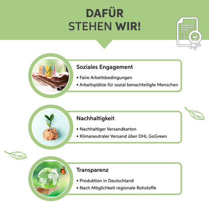 Bio Gerstengras Kapseln