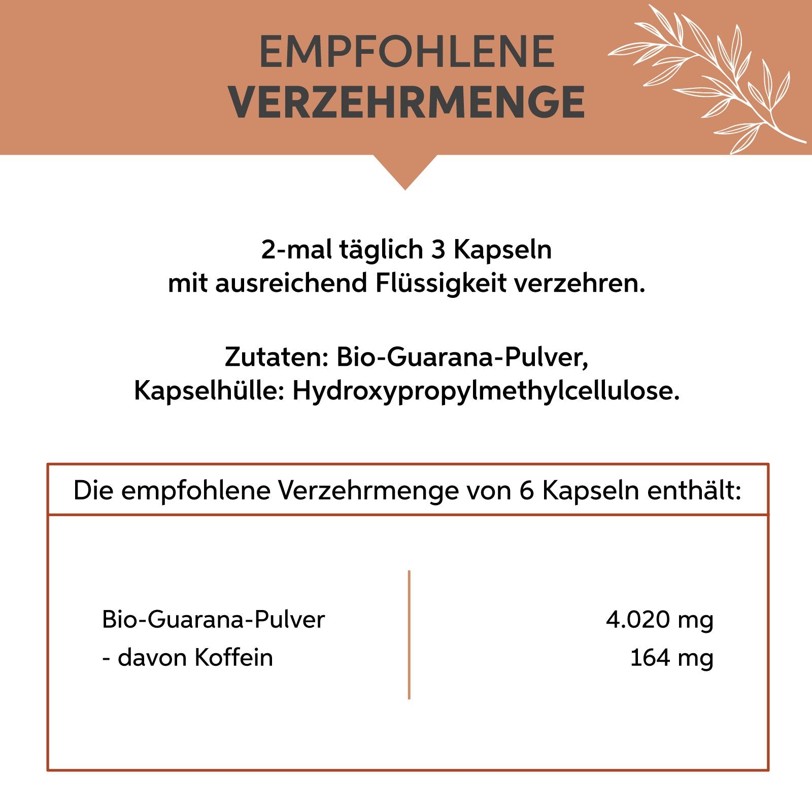 Bio Guarana Kapseln