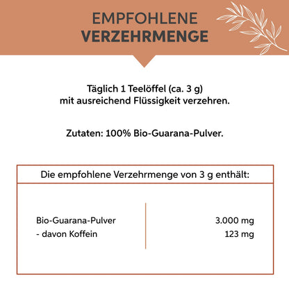 Bio Guarana Pulver