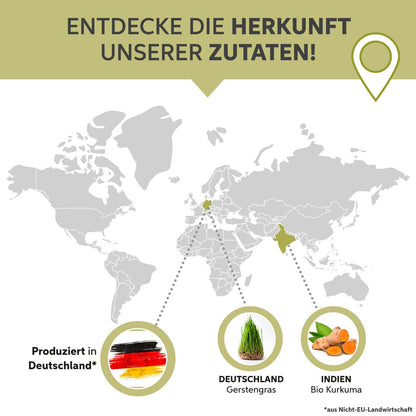 Bio Kurkuma Gerstengras Kapseln
