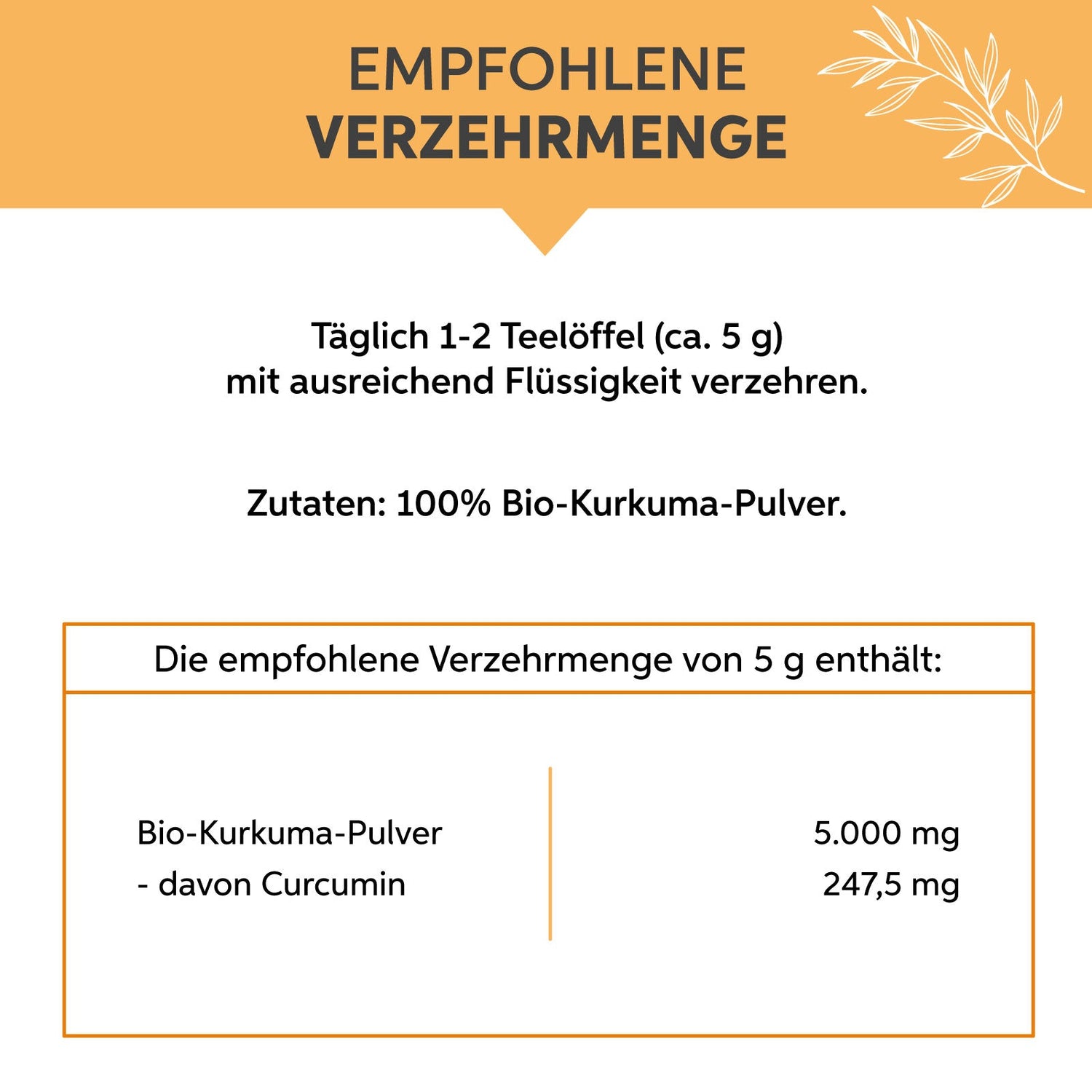 Bio Kurkuma Pulver