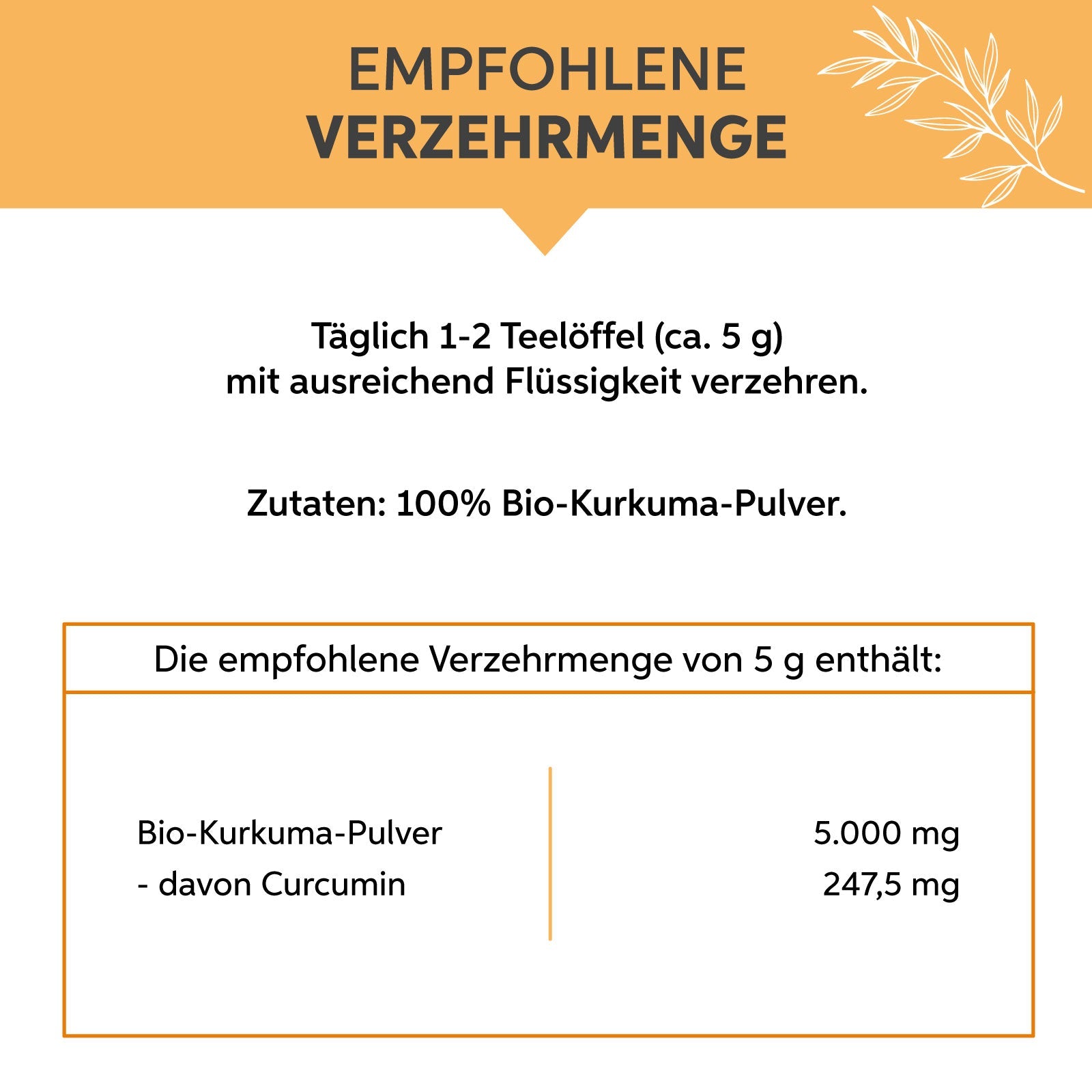 Bio Kurkuma Pulver