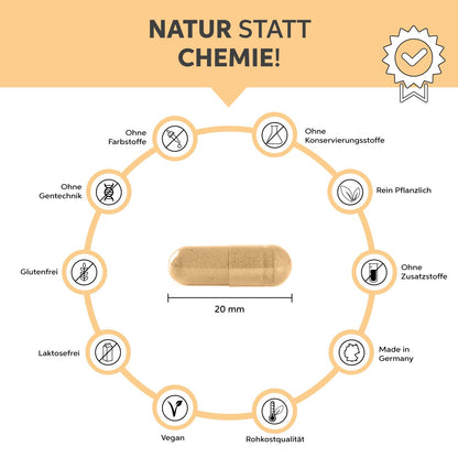 Bio Maca Kapseln