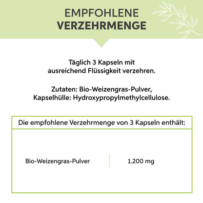 Bio-Weizengras Kapseln