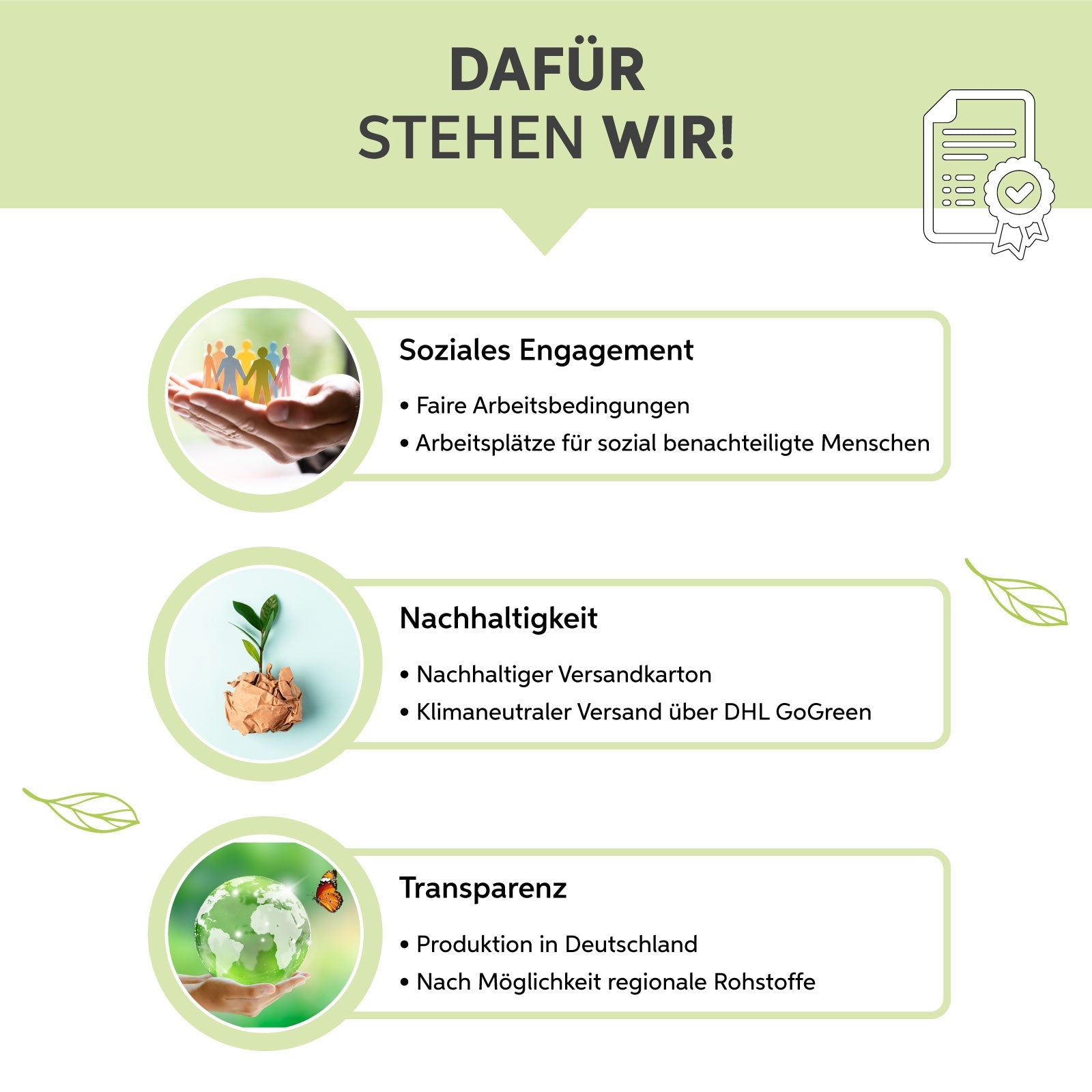 Bio-Weizengras Kapseln