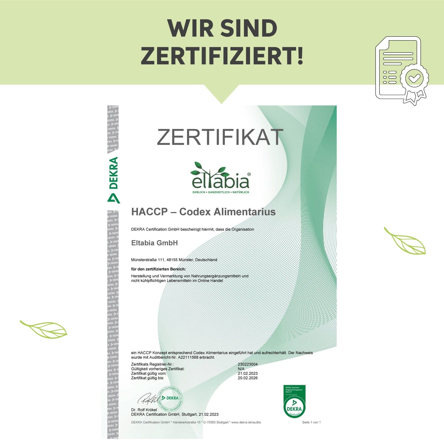 Bio-Weizengras Pulver