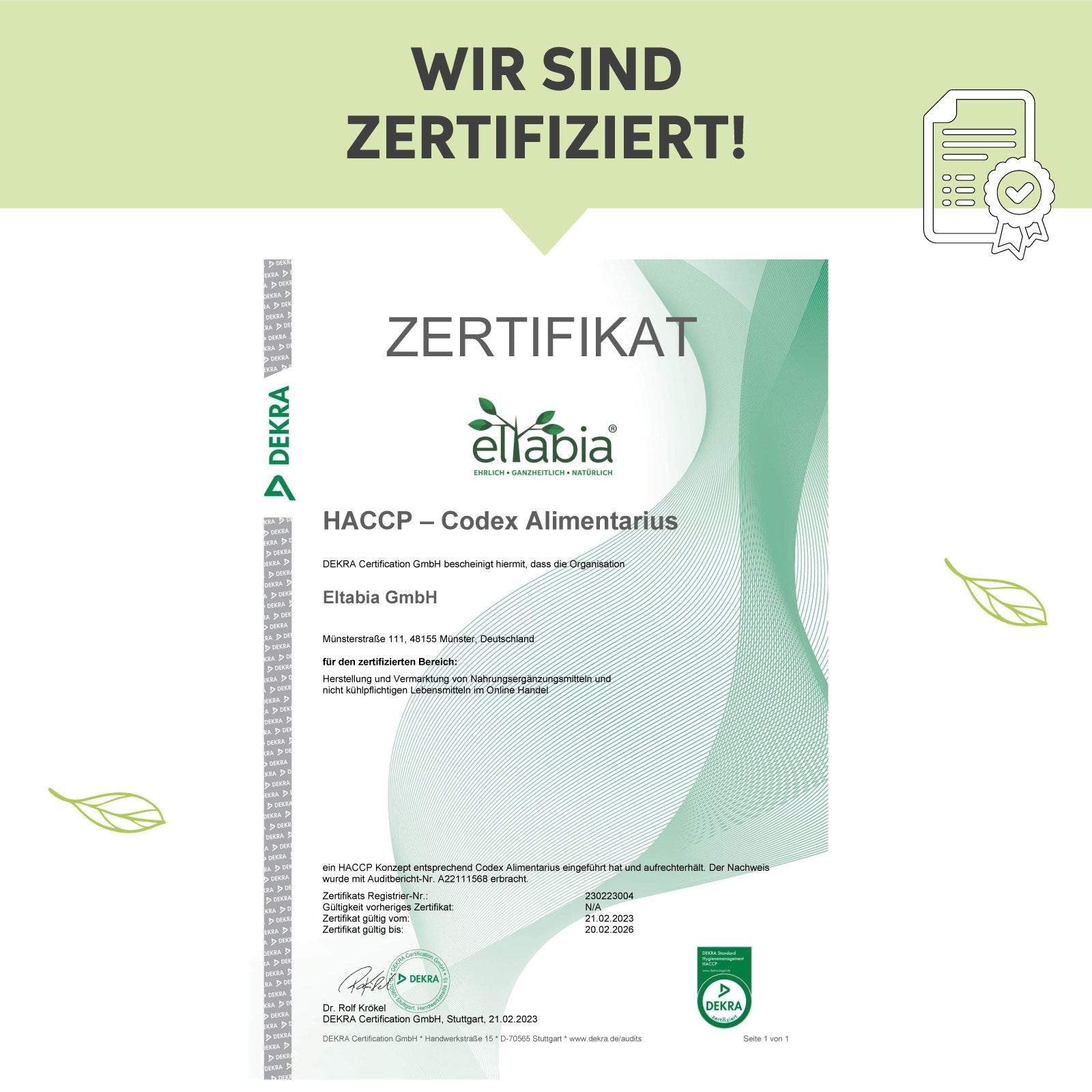 Bio-Weizengras Pulver