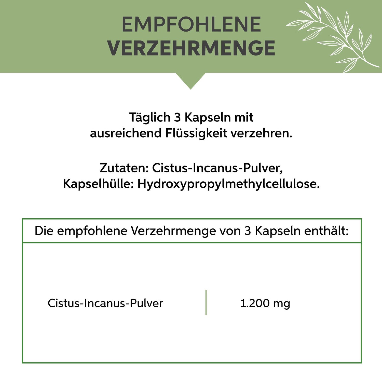 Cistus Incanus Kapseln