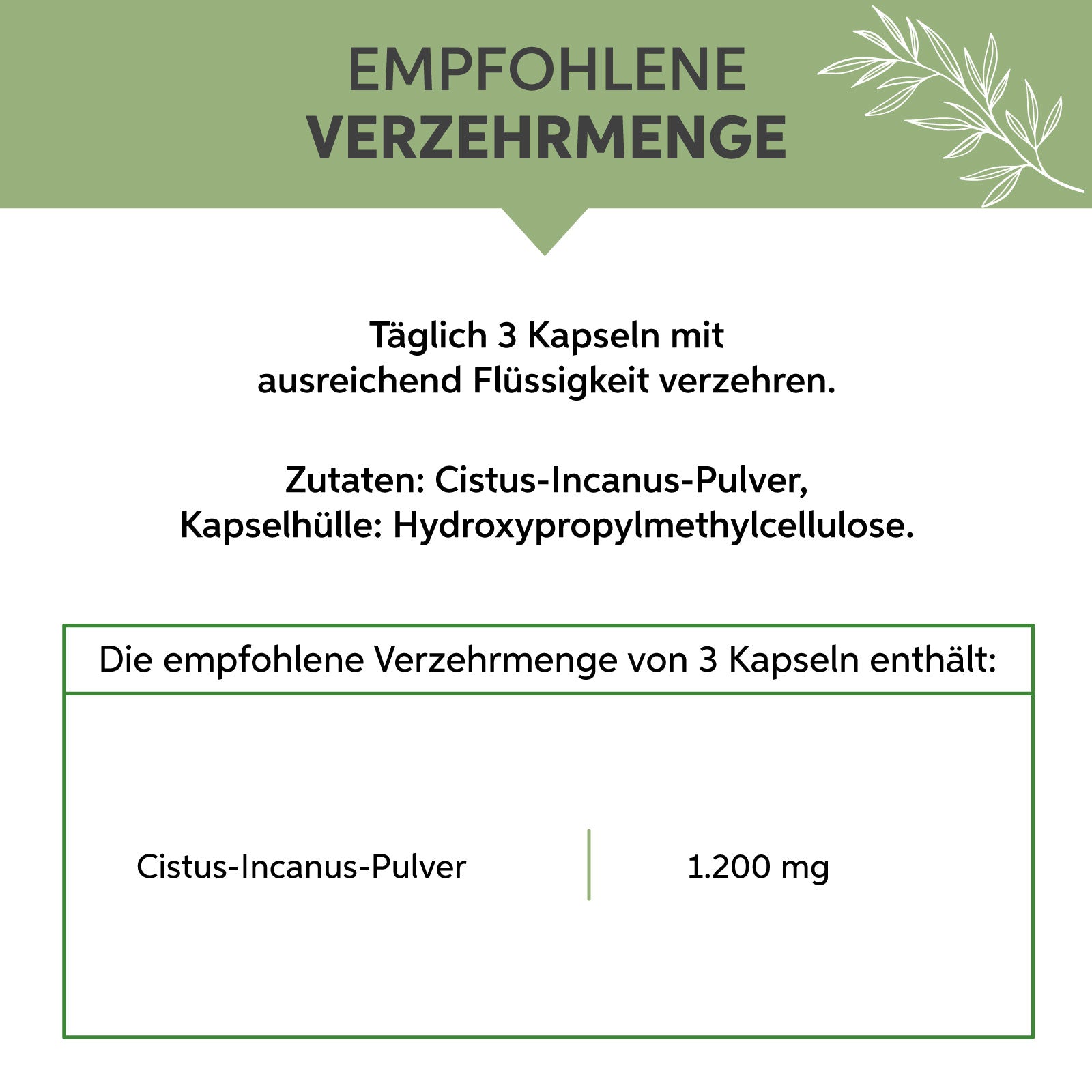 Cistus Incanus Kapseln