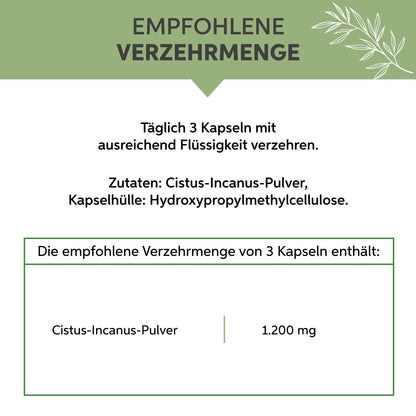 Cistus Incanus Kapseln