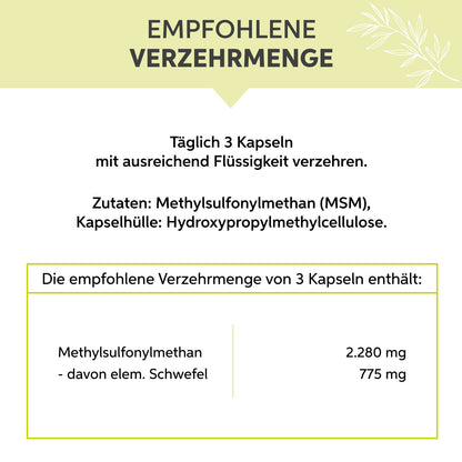 MSM-Kapseln