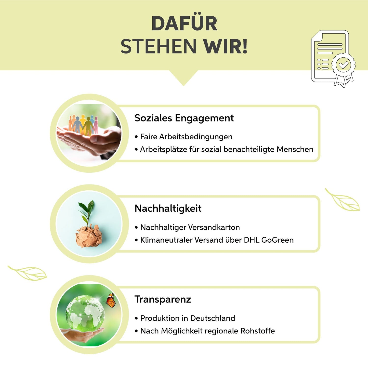MSM-Kapseln