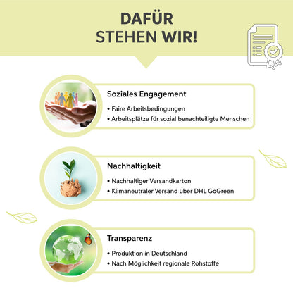MSM-Kapseln
