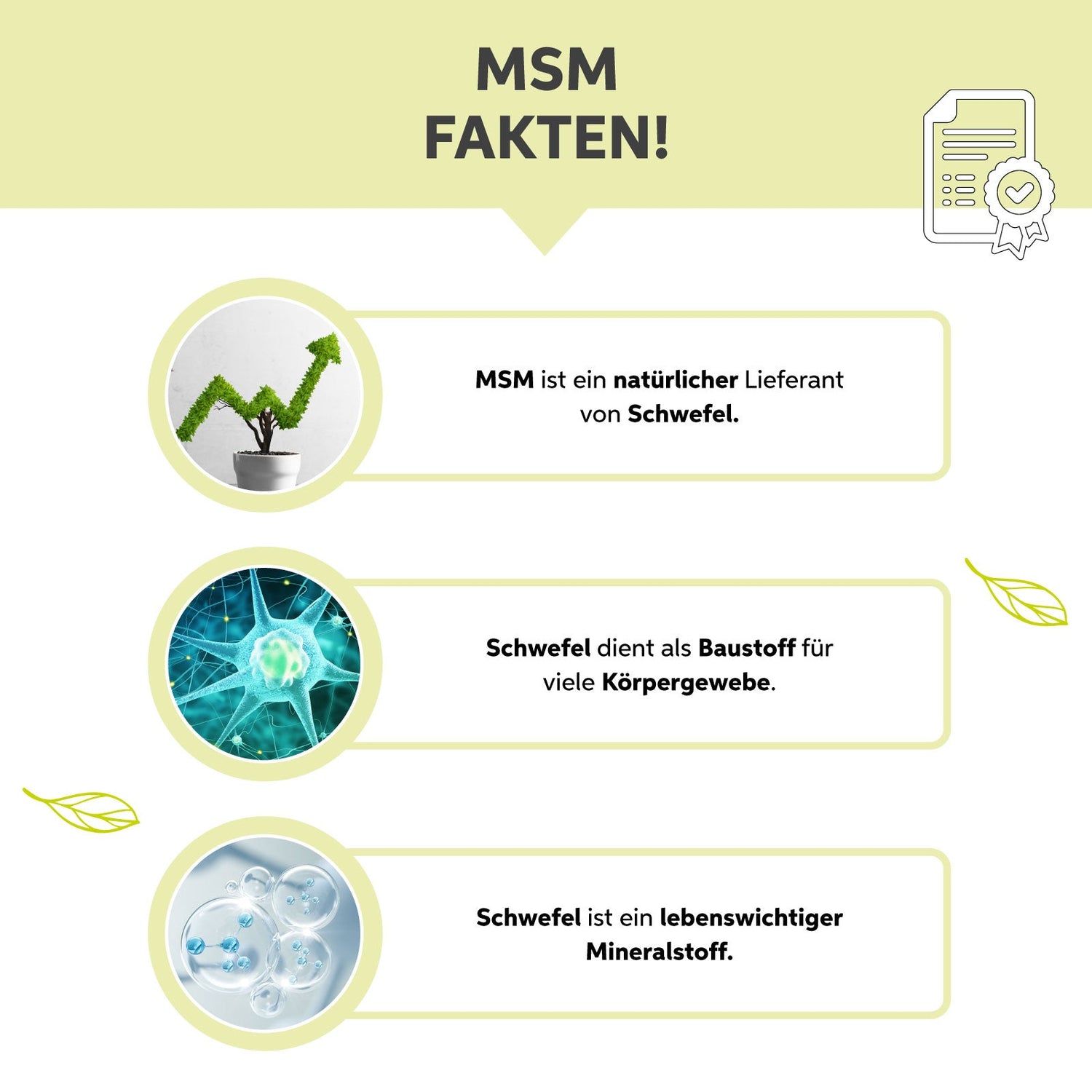 MSM-Pulver