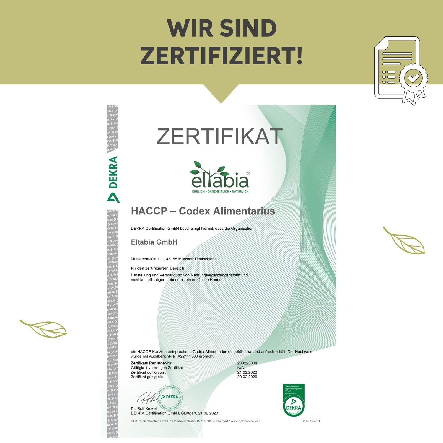 Moringa Presslinge
