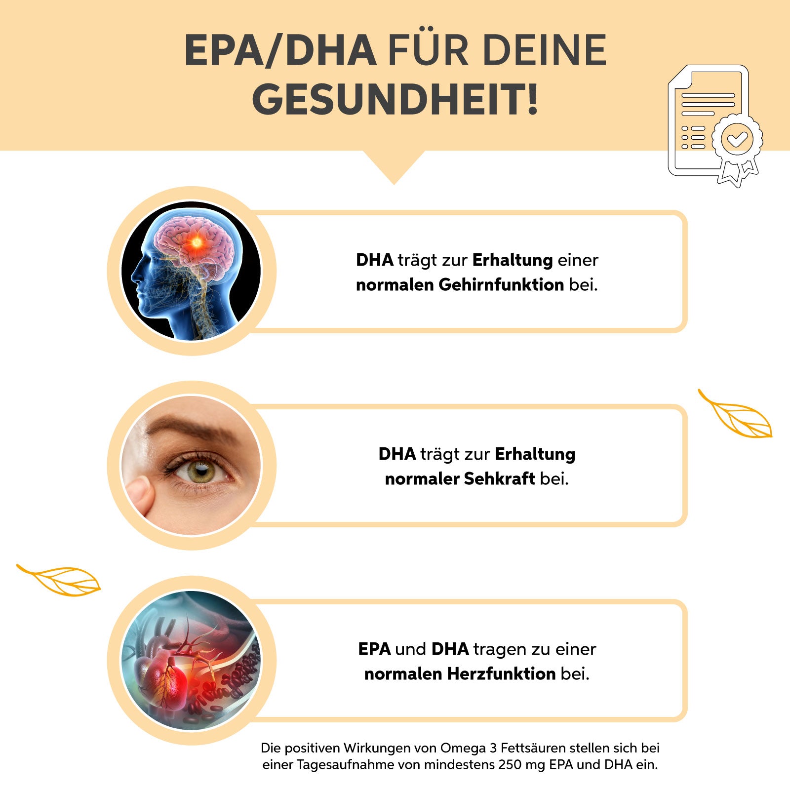 Omega 3 Fischöl Kapseln 500mg