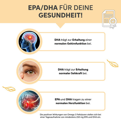 Omega 3 Fischöl Kapseln 500mg